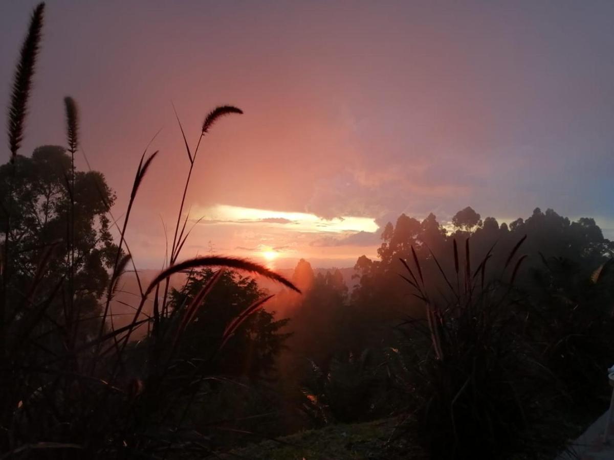 Hotel Natura Cocora Саленто Экстерьер фото